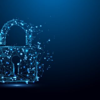 Seguridad de los datos en simuladores